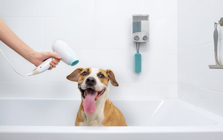 How to Create Your Own Dog Washing Station with Better Living Products
