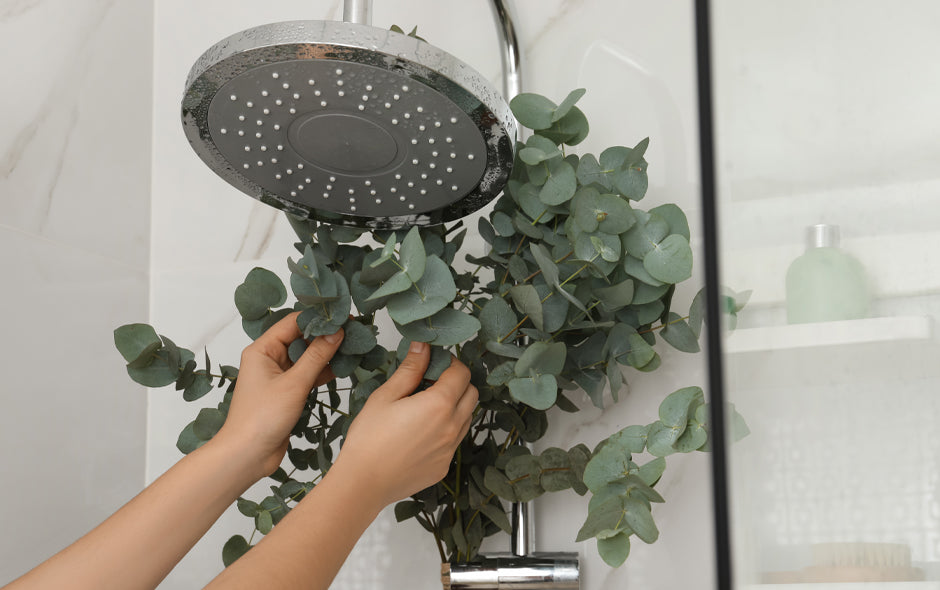 How to Keep your Bathroom Odor-Free